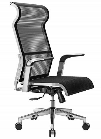 Sihoo Ergonomic Office Chair Computer Desk Chair