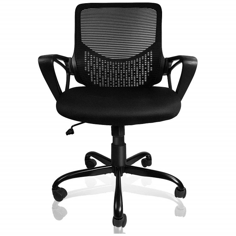 SmugOffice Office Chair with armrest and lumbar support