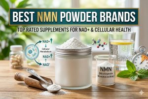 Best NMN Powder Brands